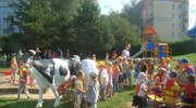 Mali mleczarze na pikniku w olsztyńskim przedszkolu