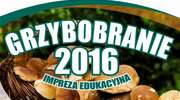 Zapraszamy na "Grzybobranie 2016"