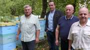 "Hodowla pszczół to taki totolotek". Nasz region słynie z miodu lipowego