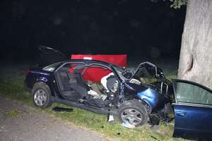 Audi czołowo uderzyło w drzewo. 18-letni kierowca zginął na miejscu