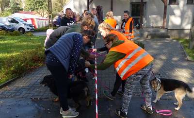 Jesienny Bieg na 6 Łap. Zdjęcia i film! 