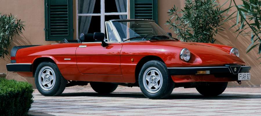 Absolwent w alfa romeo spider