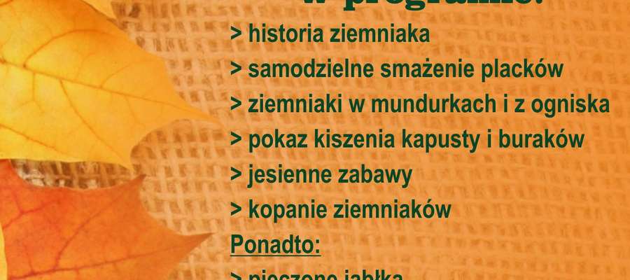 Skansen w Olsztynku zaprasza.