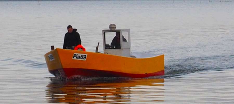 25 września Błękitny Patrol WWF przyjął od łowiącego na Zalewie Wiślanym rybaka z Piasków zgłoszenie o zaplątanej w jego sieci foce