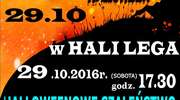 Halloween w hali Lega