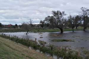 Alarm powodziowy na Żuławach! Coraz mocniejszy wiatr wpycha wodę do rzek