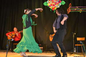 Spotkania z muzyką – na początek flamenco 