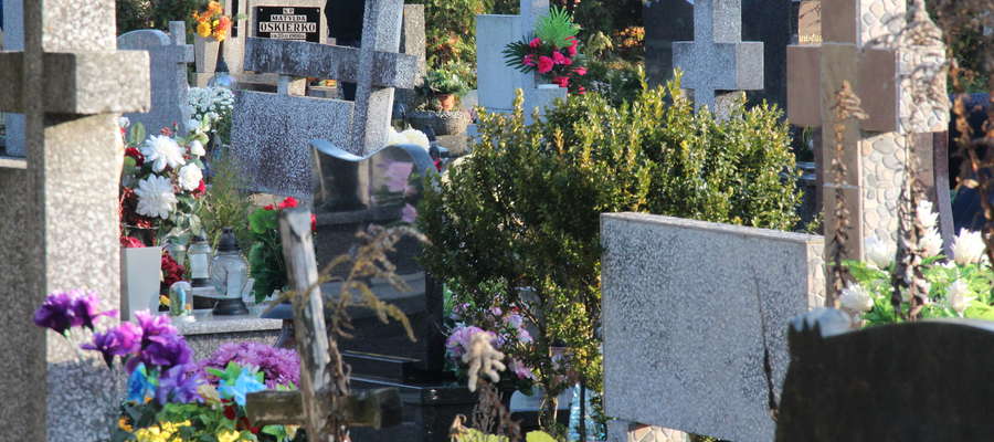 Groby na Cmentarzu Komunalnym w Giżycku możemy odnaleźć poprzez wyszukiwarkę na stronie internetowej 
