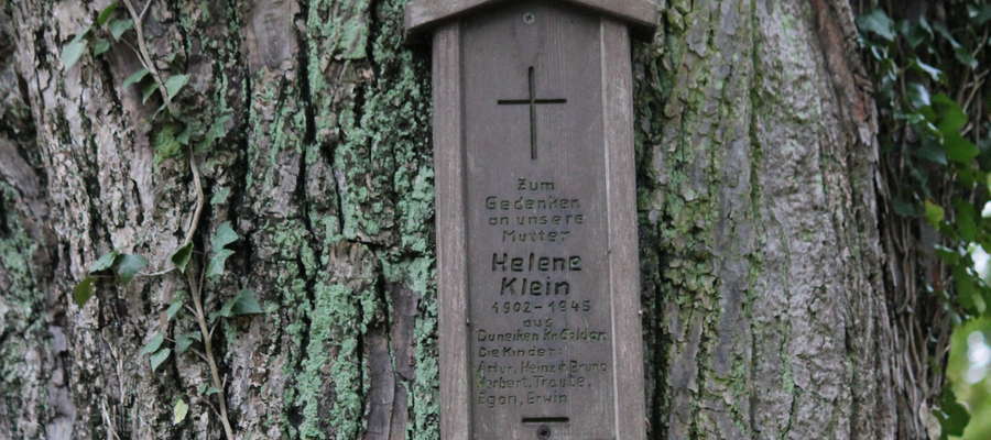 Dzieci Heleny Klein nie znalazły grobu swej mamy więc upamiętniły ją drewniana tablicą przymocowaną do drzewa.