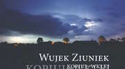 Wujek Ziuniek – kopiuj-wklej