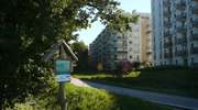 Olsztyn - Butryny: Trzeba wyciąć fragment lasu aby zbudować drogę