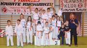 Iławscy karatecy na zawodach w Rozogach — nie zabrakło łez goryczy po przegranych pojedynkach