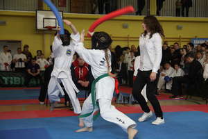 Finałowy turniej Profesjonalnej Ligi Taekwondo