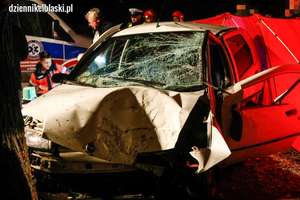 Kierowca zginął po uderzeniu w drzewo w Ogrodnikach [zdjęcia]