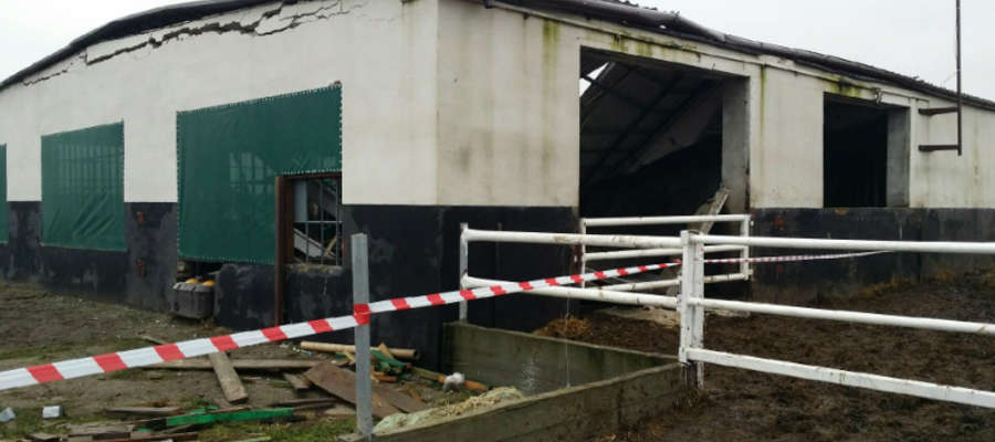 Do jednego z wypadków doszło w tym gospodarstwie w gminie Kisielice