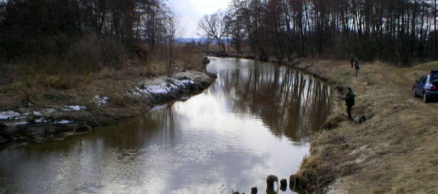 Rzeka Bauda niedaleko przed ujściem do Zalewu Wiślanego