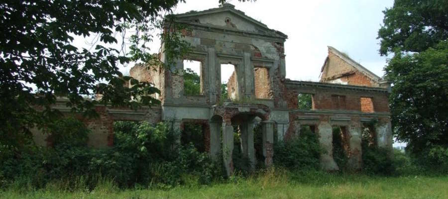 Ruiny pałacu w Limży