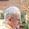 Biskup elbląski w raporcie do papieża Franciszka I. Chodzi o duchownych, którzy chronili księży-pedofilów