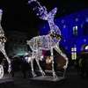 Warmiński Jarmark Świąteczny: Będzie wielka choinka i tradycyjne stoiska, ale zabraknie lodowych rzeźb