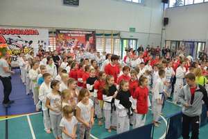 Zobacz relację filmową z finałowego turnieju Profesjonalnej Ligi Taekwondo w Bezledach