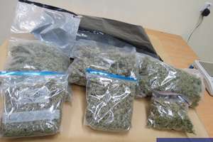 Policjanci przechwycili trzy kilogramy narkotyków 
