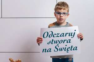 Odczaruj stwora na święta i pomóż dzieciom chorym na raka