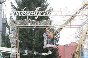 Choinka przed olsztyńskim ratuszem i świąteczne dekoracje rozbłysną tysiącami światełek [ZDJĘCIA]