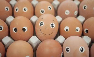 Dlaczego warto jeść jajka? Oto 6 powodów 