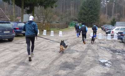 Przed nami urodzinowy Bieg na sześć łap