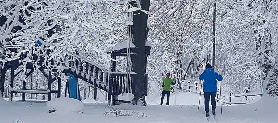 Animatorzy narciarstwa biegowego wczoraj rozpoczęli wyciskanie śladów na Wzgórzach Dylewskich