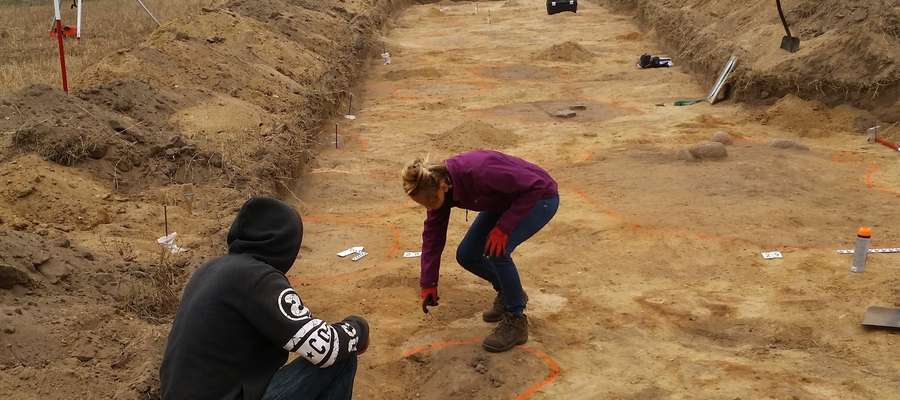 Archeolodzy podczas prac w Wieczfni Kolonii