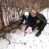 Sarna utknęła w ogrodzeniu szpitala na Komeńskiego