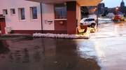 Cofka z Zalewu Wiślanego. Silny wiatr podniósł poziom wody