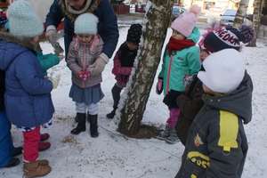 Biedronki z MP Słoneczna Ósemka dokarmiają ptaki zimą