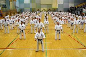 Karatecy z Iławy zdawali na stopnie kyu
