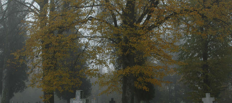 Cmentarz w Żegotach