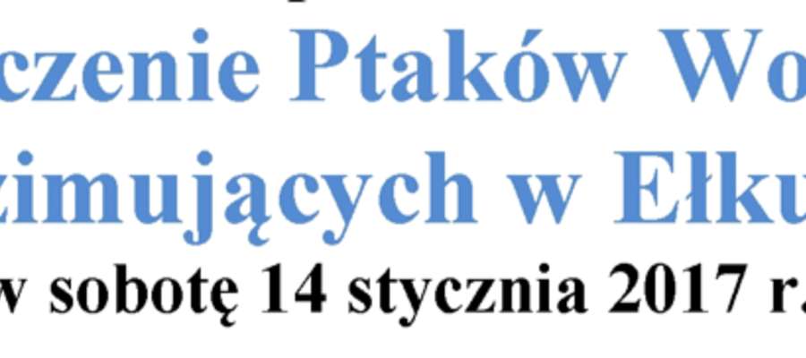 ZIMOWE LICZENIE PTAKÓW