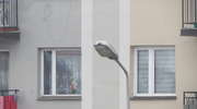 Lampy świecą w kratkę