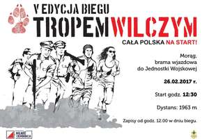 Tropem wilczym 