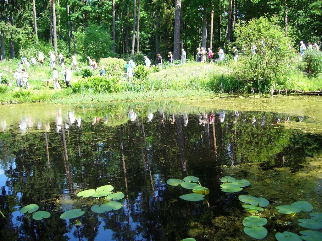 Wyicieczka w Leśnym Arboretum Warmii i Mazur w Kudypach - full image