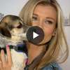 Misja Pies: Joanna Krupa promuje swój projekt
