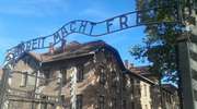 Wyrok na ZDF tylko przetarł szlaki. Kolejne pozwy w sprawie "polskich obozów koncentracyjnych"