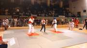 Nasi pokazali się podczas Mistrzostw Makroregionu Wschodniego Karate Kyokushin
