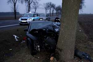 20-letni kierowca uderzył w drzewo. Wypadek na "siódemce"