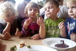 Festwial Zdrowych Słodyczy w Przedszkolu "Bajka"