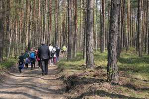 Wielkie sadzenie lasu na Warmii i Mazurach. Leśnicy posadzą ponad 20 mln drzewek