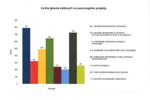 Wyniki głosowania na Budżet Obywatelski Gołdapi