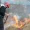 Dotkliwe kary za wypalanie traw