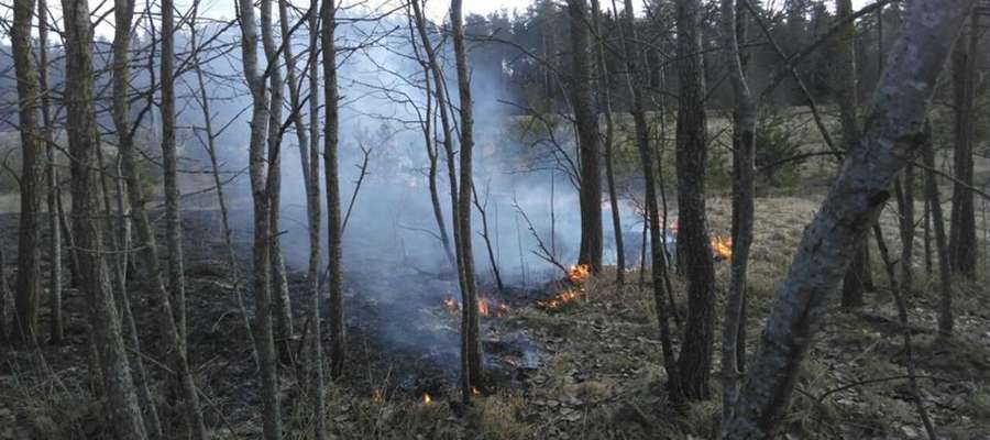 Druhowie z OSP Spytkowo gasili pożar traw w Pieczonkach