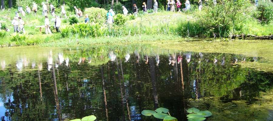 Wyicieczka w Leśnym Arboretum Warmii i Mazur w Kudypach